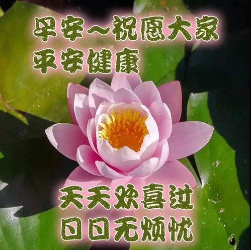 早上祝福问候句子大全