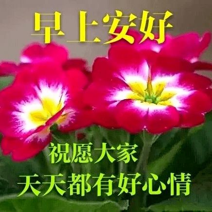 早上祝福问候句子大全