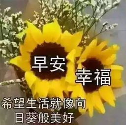 早上好问候语暖心纯文字