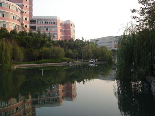 西华师范大学教务处电话