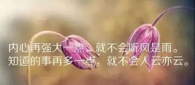 人生经历感悟经典说说范文