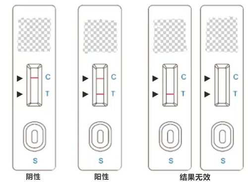 乙肝表面抗原阳性+是什么意思