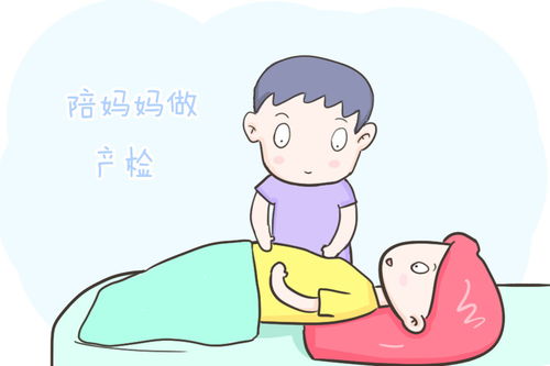 孕期准爸爸应该注意什么