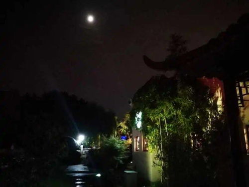 夜幕下的校园 唯美句子