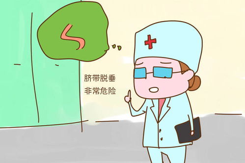 备孕什么时候同房怀孕几率大