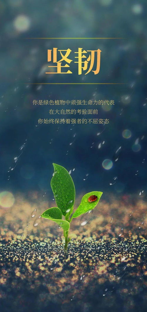 早安最短精句下雨天