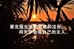 心灵鸡汤励志名言