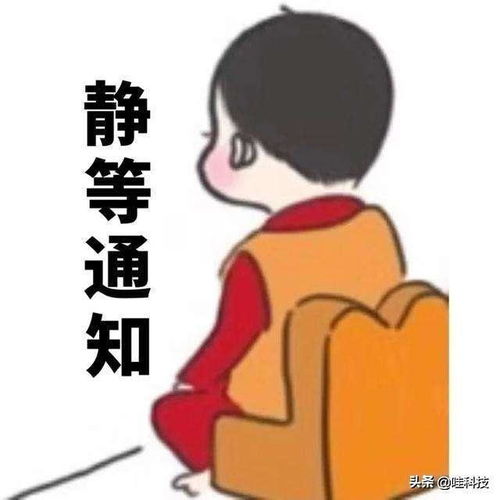 一本正经的废话段子