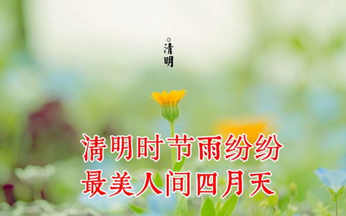 清明节寄语简短的