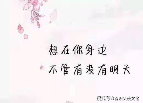 让人心疼的句子说说心情