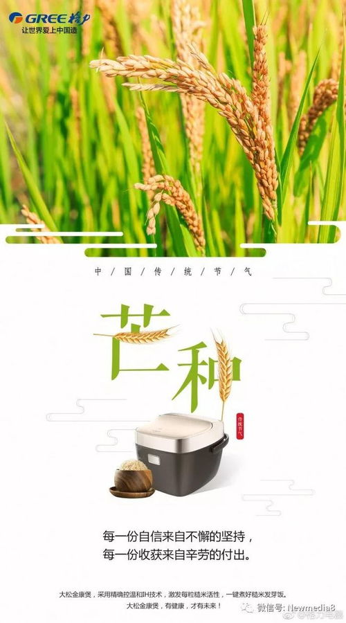 关于芒种的活动策划