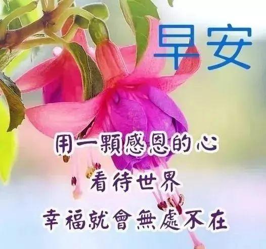 三月初三祝福语阳光多图