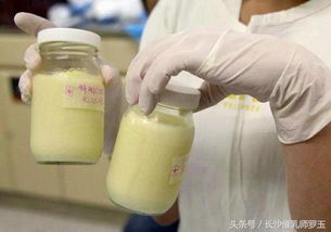 初乳是婴儿的第一次免疫吗