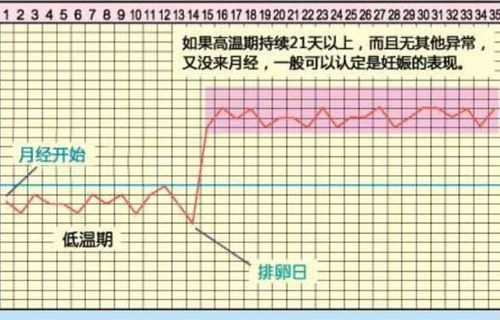 月经结束几天才是排卵期