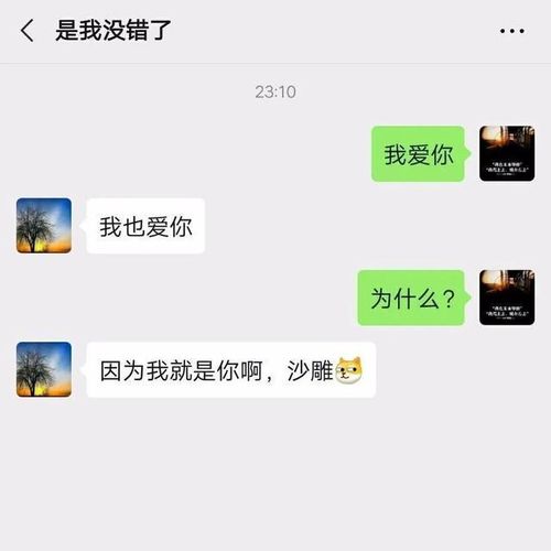 适合520发的朋友圈文案图片