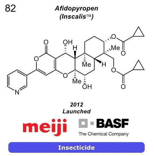 碱性磷酸酶偏高