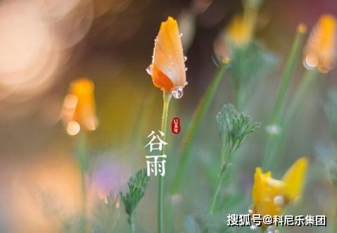 春雨惊春清谷天 夏满芒夏暑相连什么意思