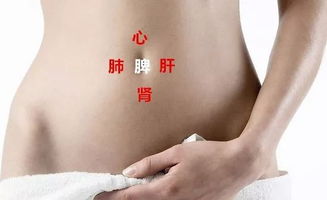 为什么人的肚脐眼有的凸起、有的内凹？