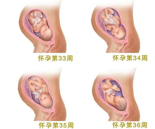 关注胎儿健康的句子