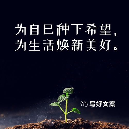 花开的文案句子简短