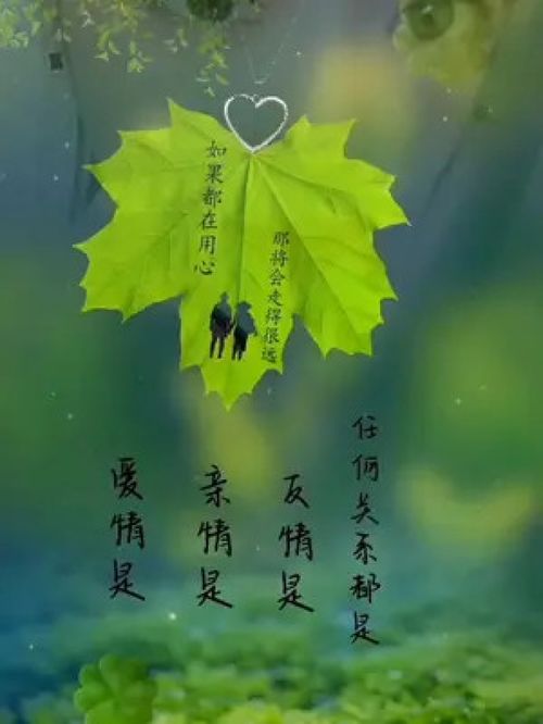 当爱情变成亲情的感悟[通用68句