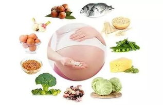 孕妇吃枇杷会拉肚子吗?