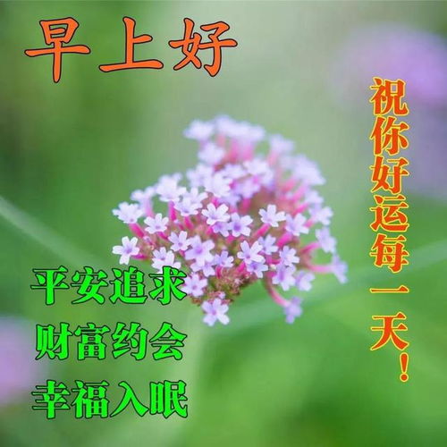 简短祝福语十个字以内