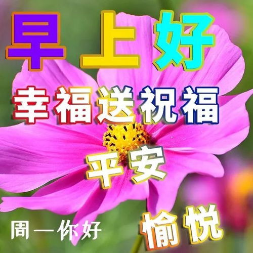 简短祝福语十个字以内