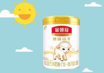 伊利金领冠在网上买的会有假货吗 3g.babytree.com