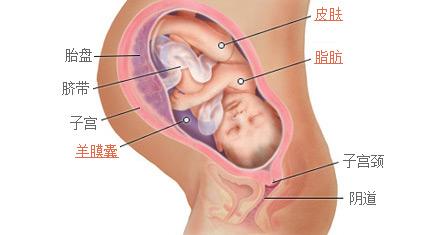 怀孕23周的时候去医院做四维可以吗？