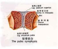 【请教】3mm的卵黄囊算正常吗？