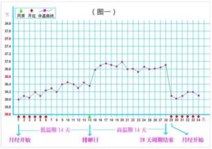 排卵期前一周怀孕几率