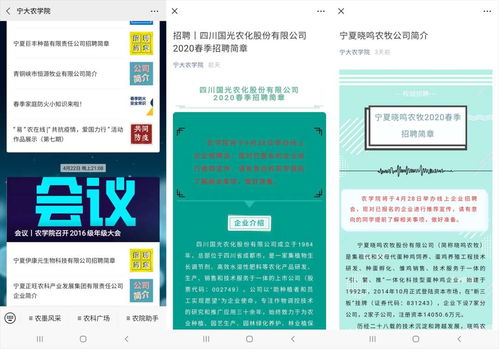 宁波大学就业信息网官网