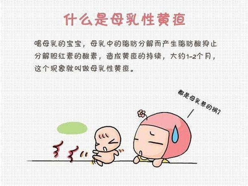 母乳性黄疸一定要停母乳才能退吗？