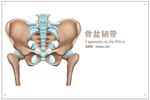 骨盆高低不平衡