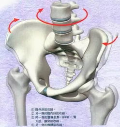 骨盆高低不平衡