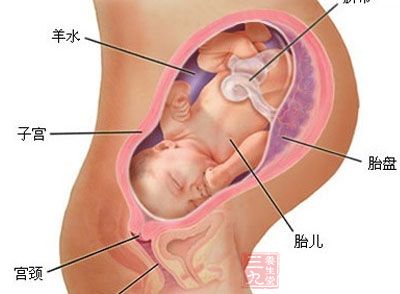 怀孕5个月胎儿最适合什么样的胎教？