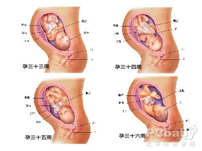 怀孕5个月胎儿最适合什么样的胎教？