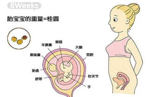 怀双胞胎三十五周的症状有哪些