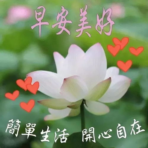 祝福自己的句子简短[合集94句怎么说