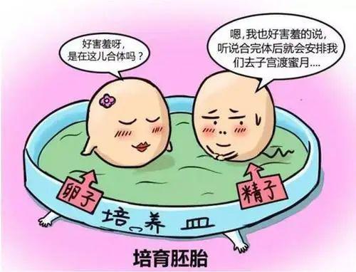 人工授精可以生双胞胎吗