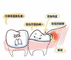 智齿没有咬合牙需要拔吗图片