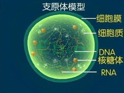 儿童如何预防支原体感染