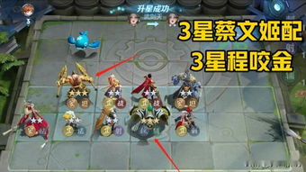 龙将2蔡文姬怎样提高加血量？