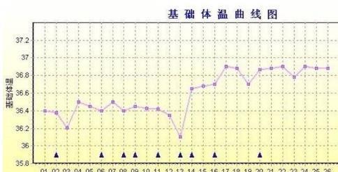 排卵期身体的四个改变