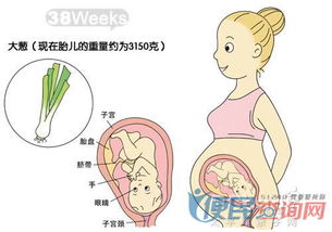 怀孕12周吃什么药可以胎停