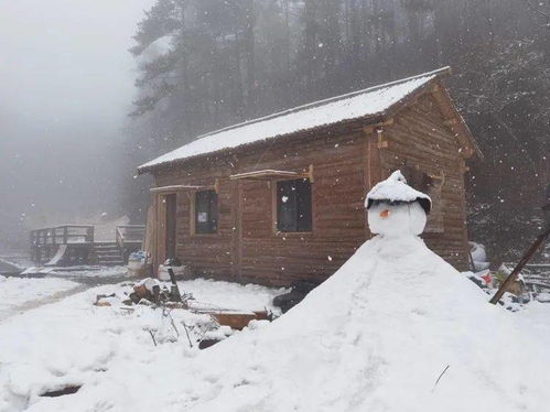 景物描写的精彩片段 雪景