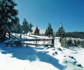 景物描写的精彩片段 雪景