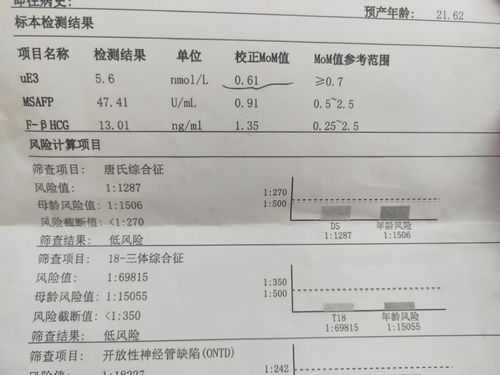 早期唐筛和中期唐筛内容一样吗