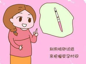 女人排卵期是月经后第几天